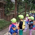 IMG-20250625-WA0006