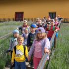 IMG-20250625-WA0007