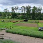 IMG-20250625-WA0010