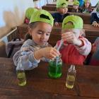 IMG-20250625-WA0015