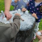 IMG-20250625-WA0032