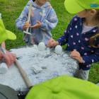 IMG-20250625-WA0033