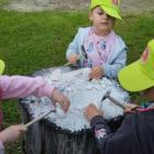 IMG-20250625-WA0035